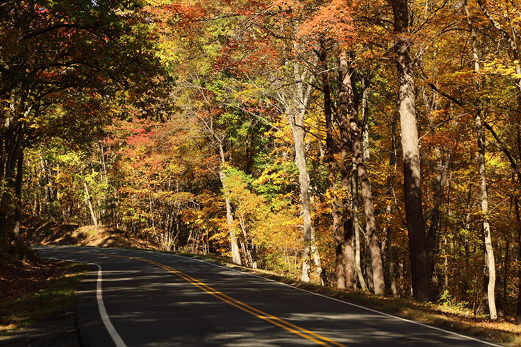 Scenic road